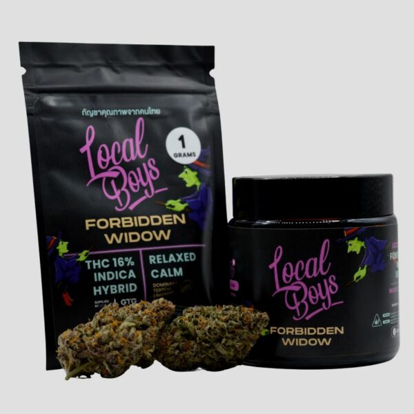 Forbidden Widow - Image 2