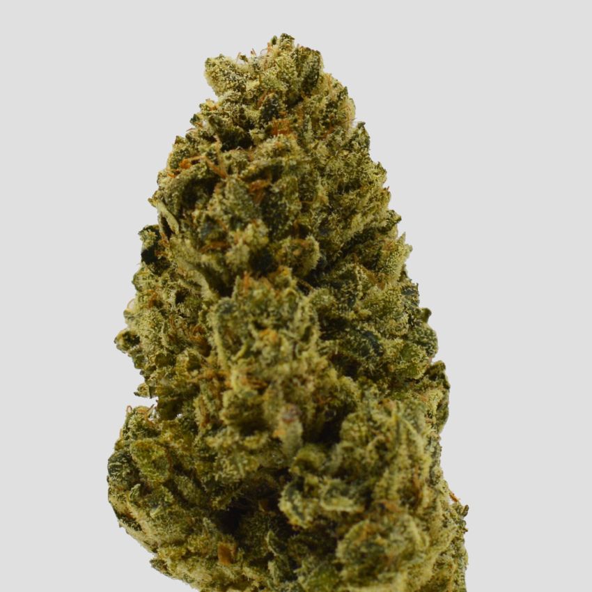 Gorilla Glue - Image 3