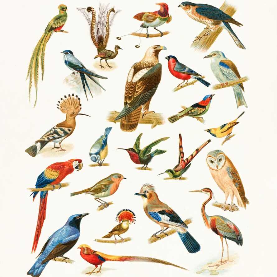 birds flying over body of water painting